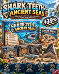 Shark Teeth & Ancient Seas promotional illustration